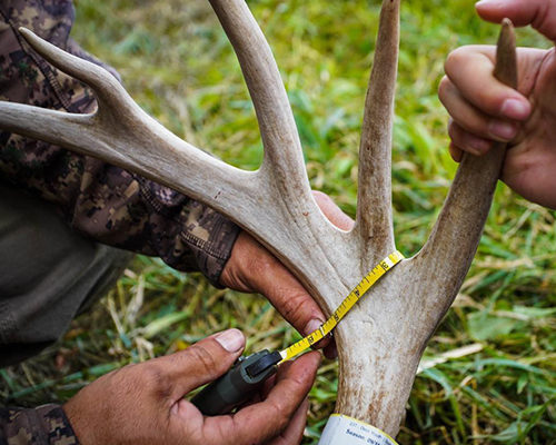 rackulator partners with whitetail tv